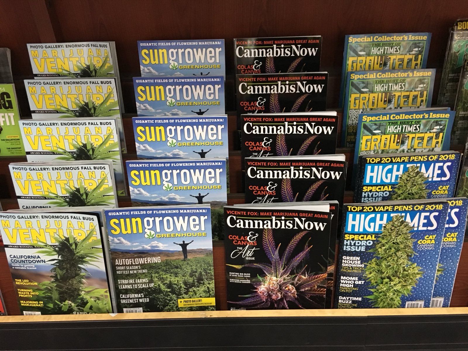 Top 5 Cannabis Publications That Are Shaping the Industry